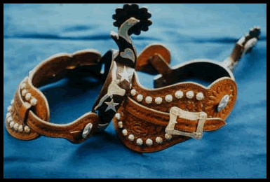 Longhorn Spurs